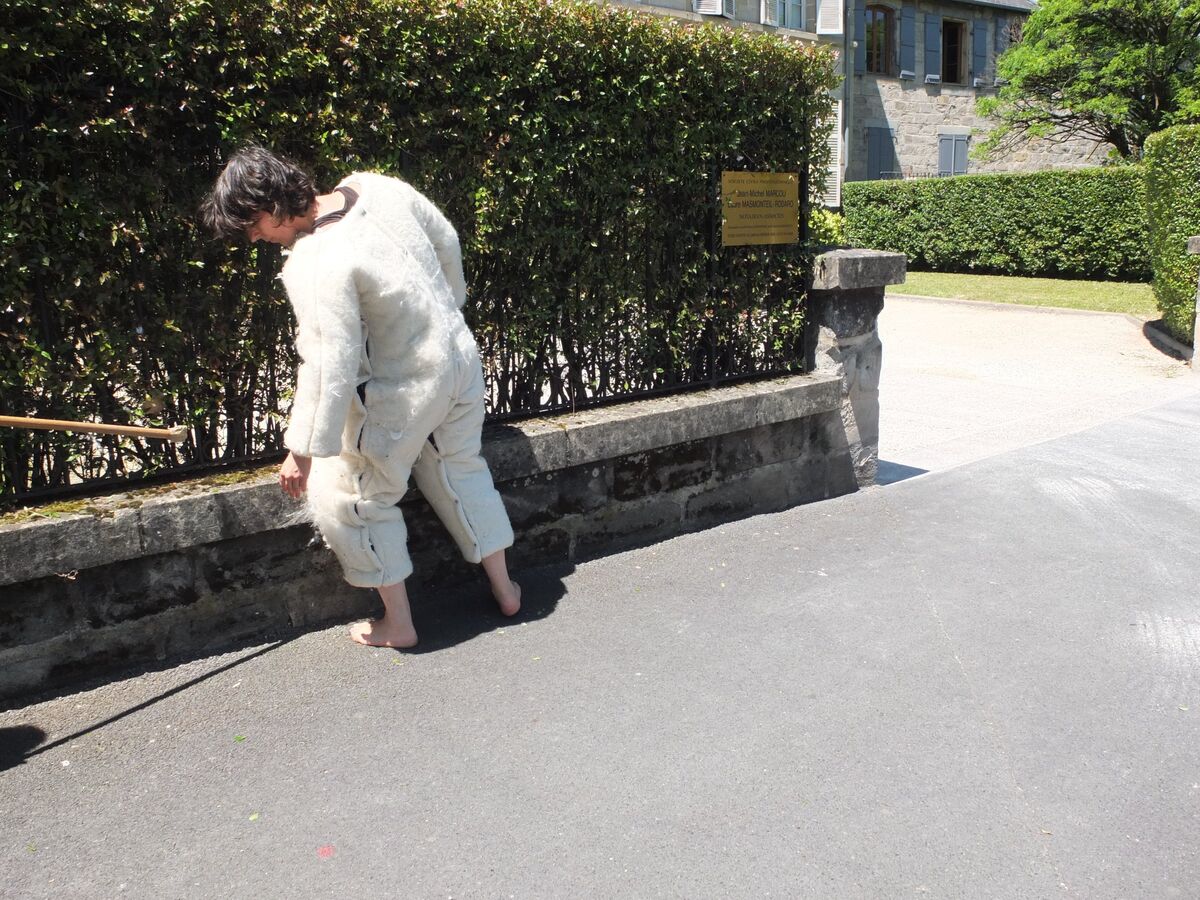 257860-depaulis-tapis-corps-dscf6855.jpg