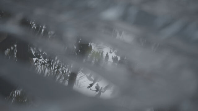 241313-subreville_bokeru2_reflet-7.jpg