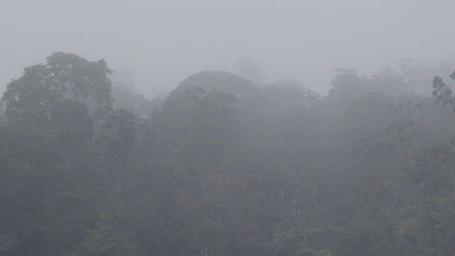 241293-subreville_bokeru2_brouillard2.jpg
