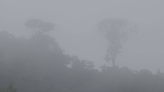 241295-subreville_bokeru2_brouillard3.jpg