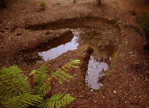 259692-laurent-le-deunff_jurassic-france-3.jpg