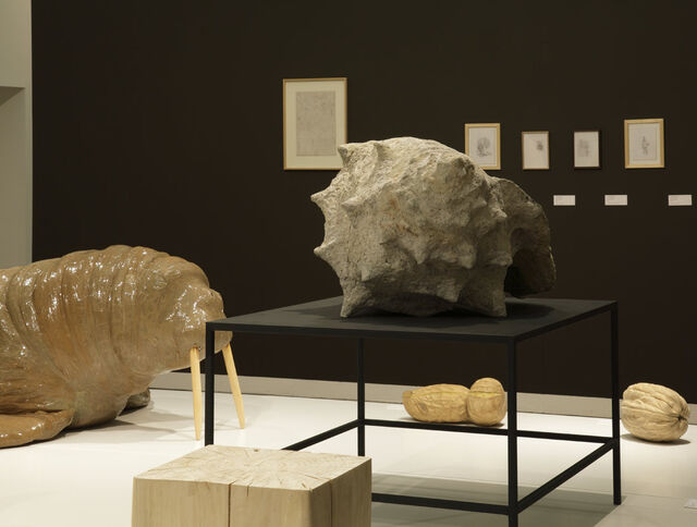 259303-le-deunff-la-grande-evolution-libourne_expo_le_deuff_008a_bd.jpg