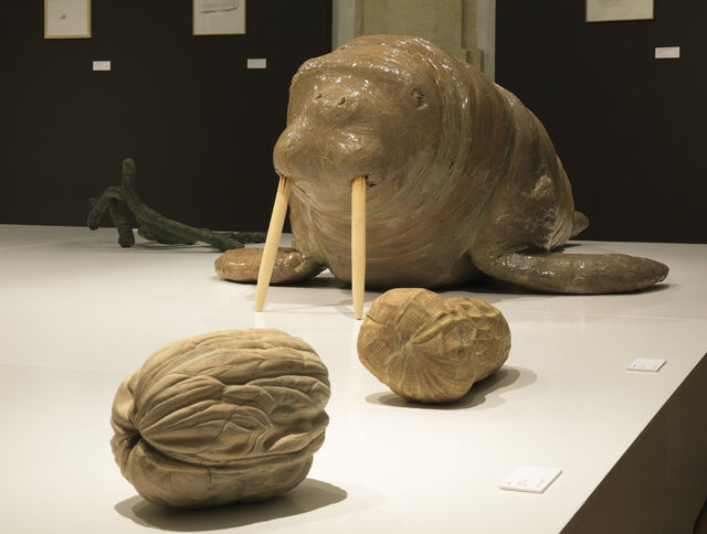 259301-le-deunff-la-grande-evolution-libourne_expo_le_deuff_006a_bd.jpg