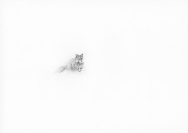 262097-le-deunff-chasseurs-flous-serie-chasseurs_flous_11.jpg