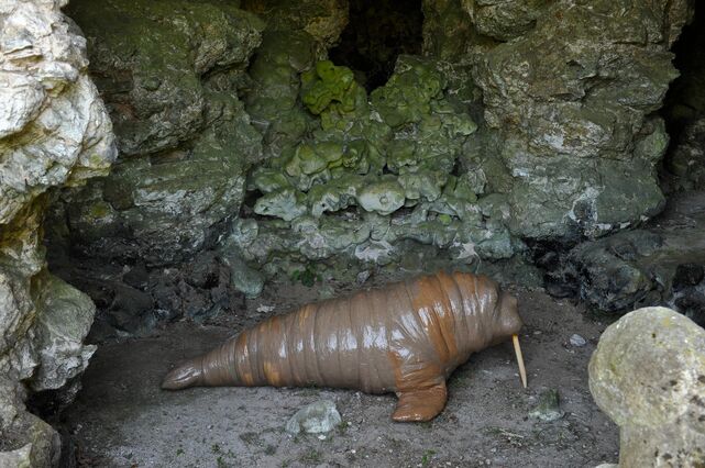 259273-le-deunff-la-grotte-sans-nom-morse-2011_05_05___laurent_le_deunff_c_henri_perrot_41_.jpg