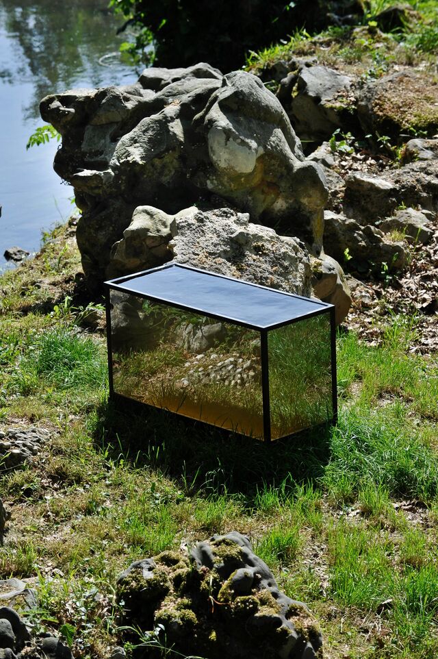 259276-le-deunff-la-grotte-sans-nom-aquarium-2011_05_05___laurent_le_deunff_c_henri_perrot_65_.jpg