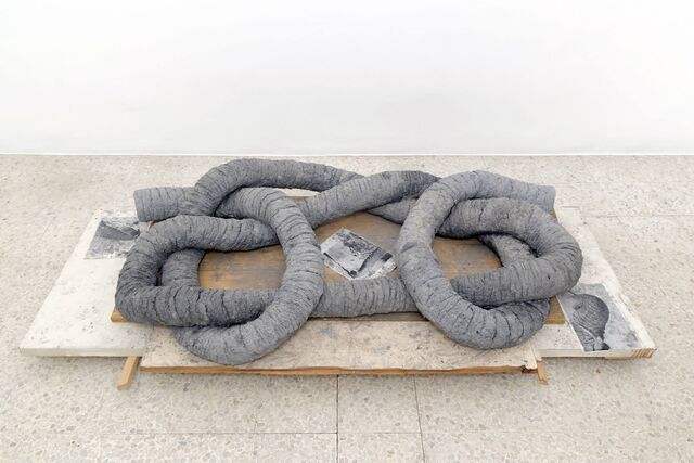 259592-le-deunff-semiose-galerie-2013-lld_semiose_ii_2013_12.jpg