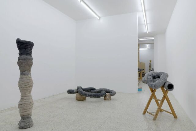 259582-le-deunff-semiose-galerie-2013-lld_semiose_ii_2013_2.jpg