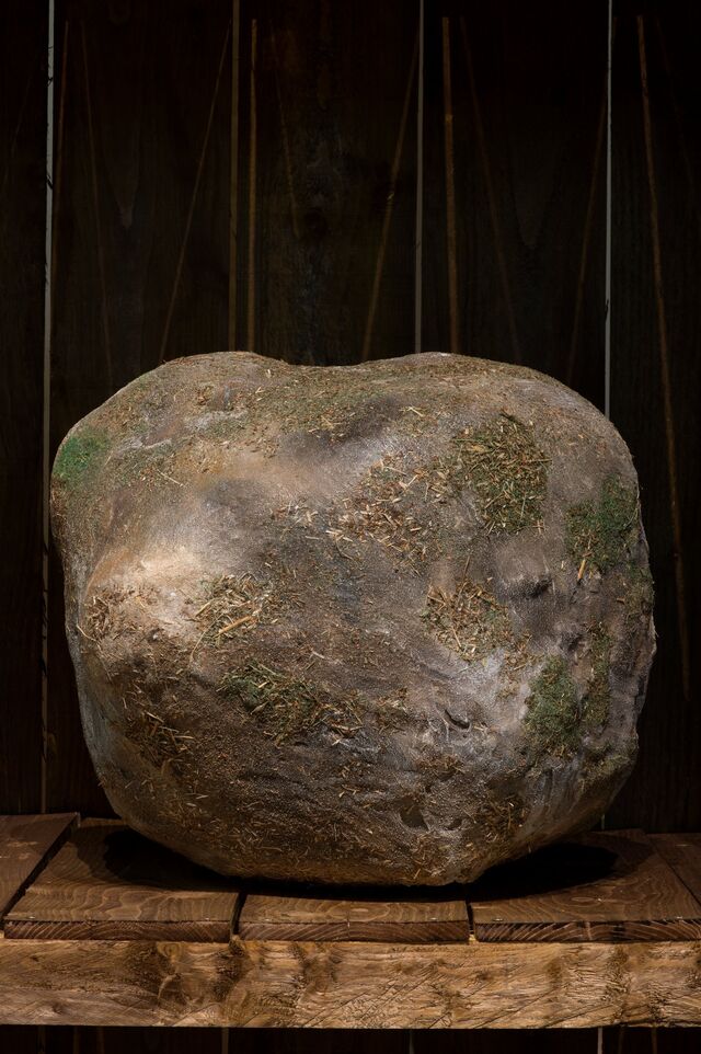 261385-le-deunff-stalactite-et-stalagmite-2-_dsc5059.jpg