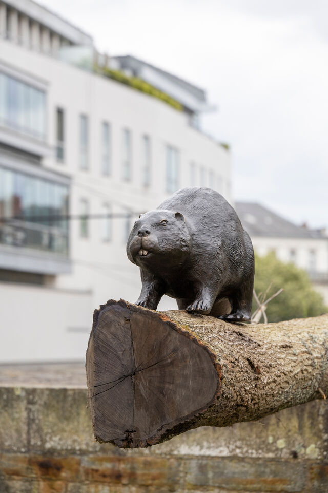 259863-le-deunff-un-castor-sur-un-arbre-couche-un_castor_sur_un_arbre_couche_laurent_le_deunff_porte_sauvetout_le_voyage_a_nantes_2021_c_martin_argyroglo___lvan_23_.jpg