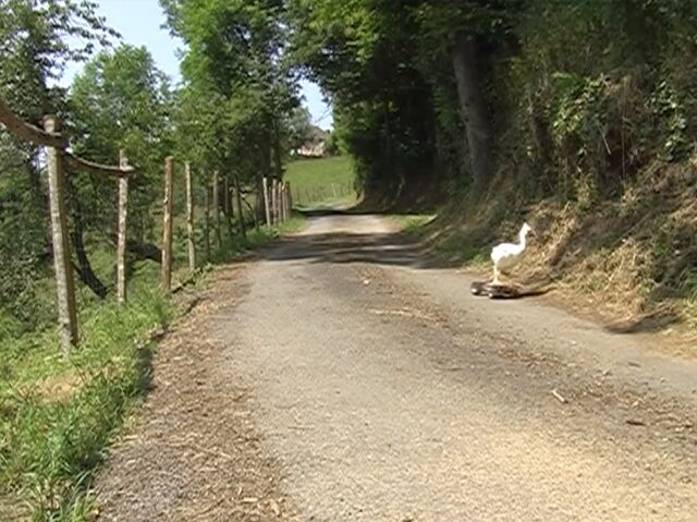 _Libre parcours_
