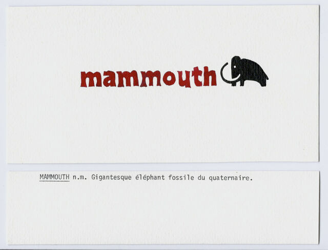 246930-estaque_les_marques_mammouth.jpg