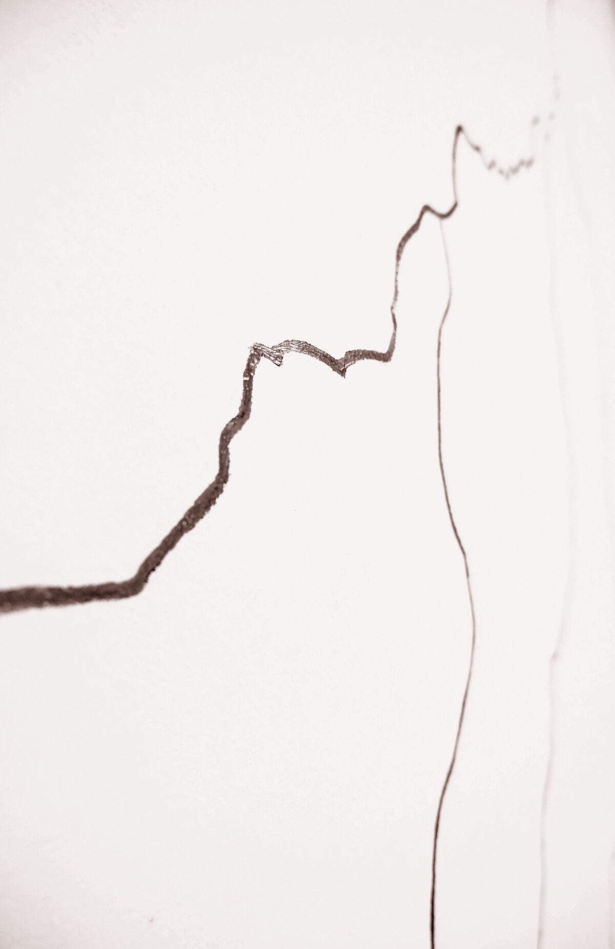 247866-1d.jpg