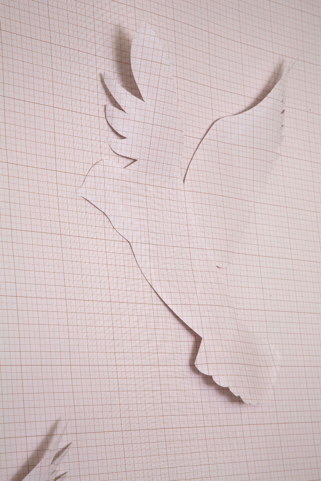 _Seules, les ombres camouflées_