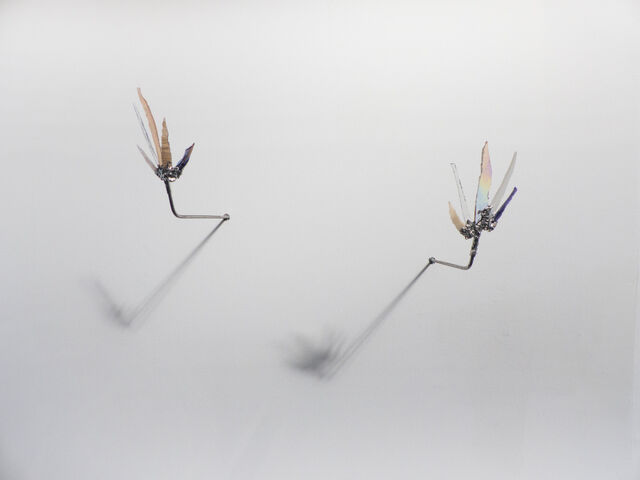 Réflexions