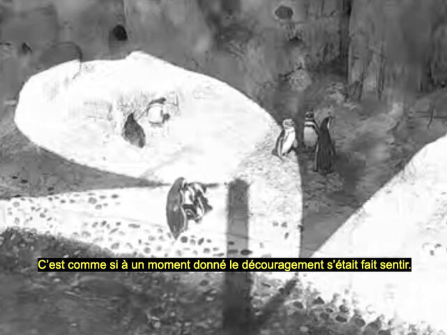 _Penguins TV_