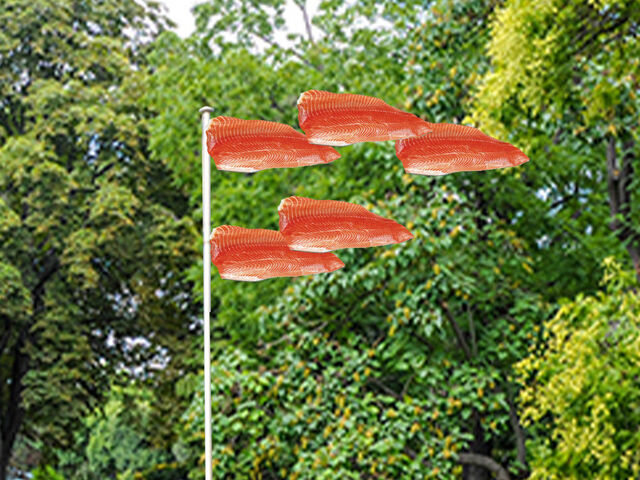 _Poissons volants_
