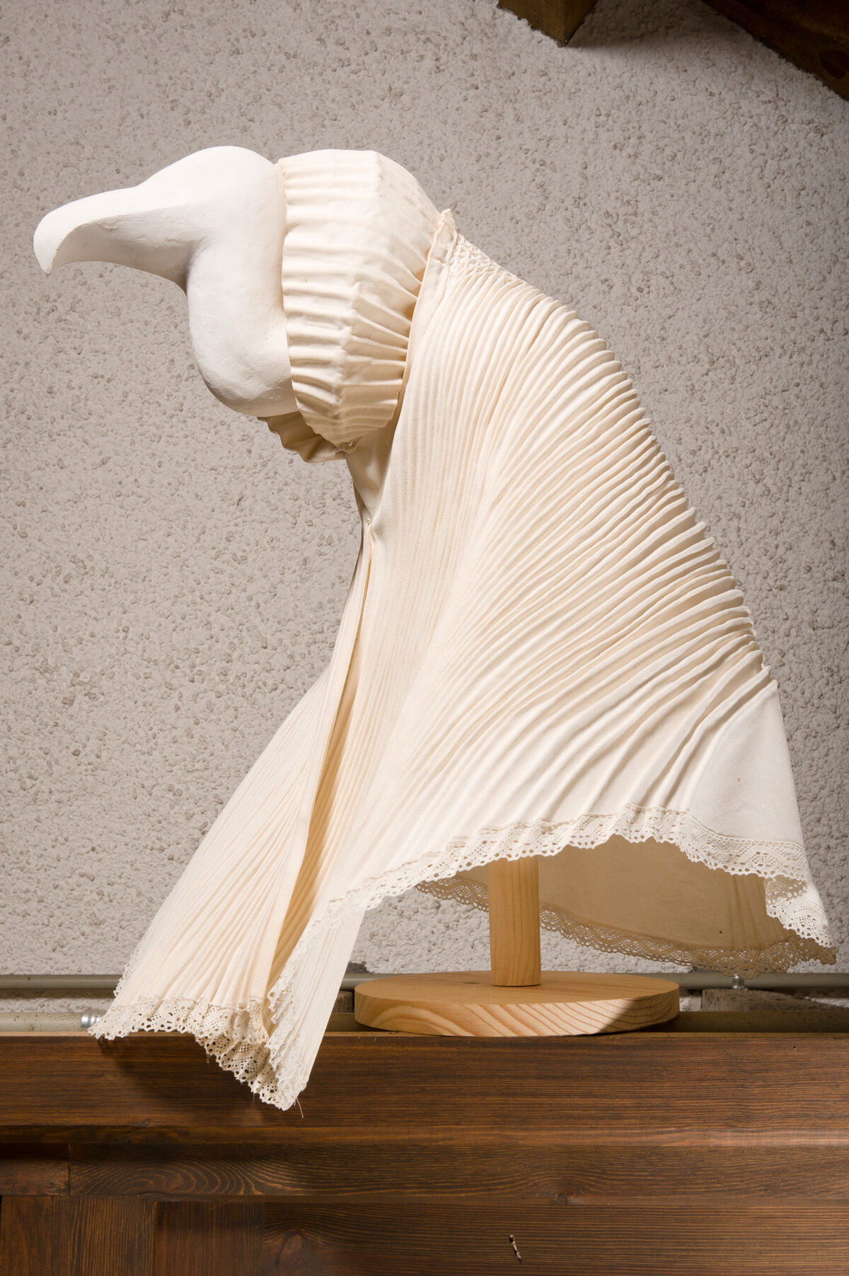 233691-sirgue_gorguera__dsc6123.jpg