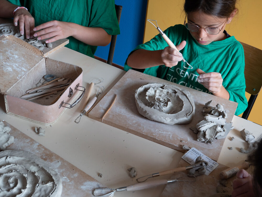 243798-ammonites.jpg
