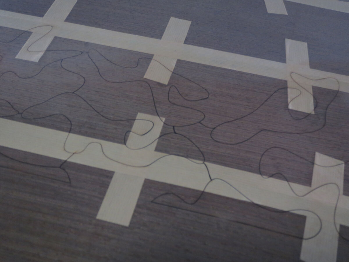 234989-sirgue_platanes_platane_en_cours.jpg