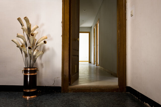 _Bouquet de cornes_