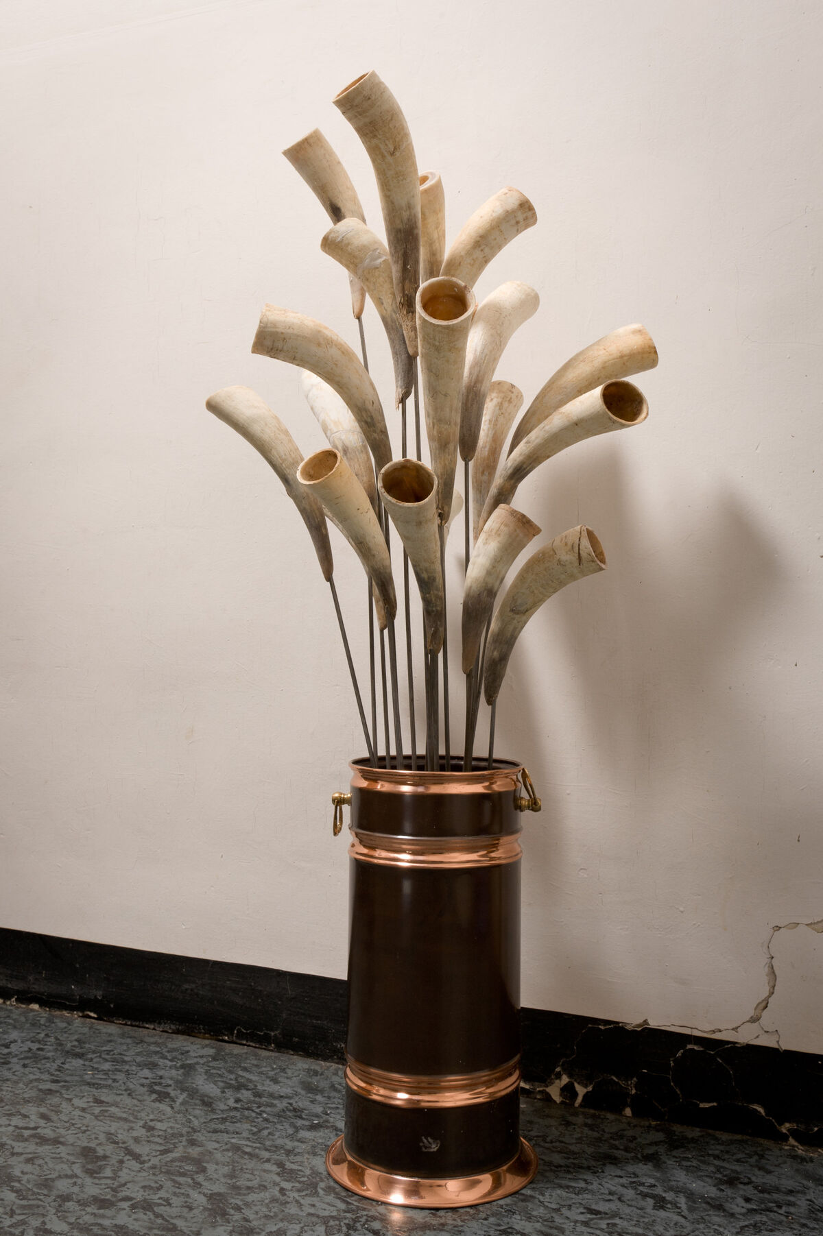 233676-sirgue_bouquet-de-cornes__dsc6065.jpg