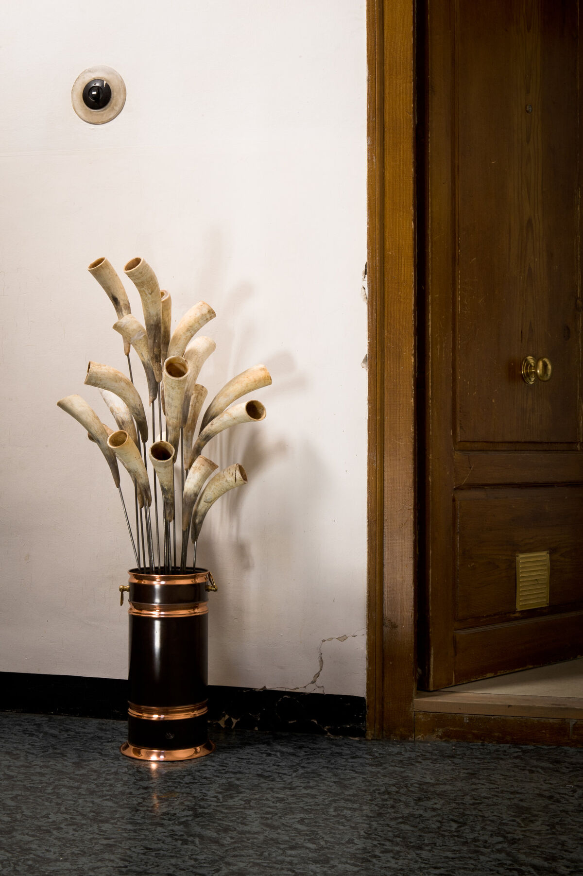 233674-sirgue_bouquet-de-cornes__dsc6061.jpg