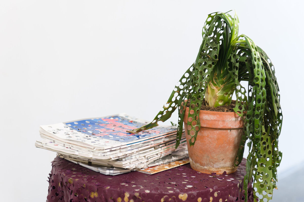 233651-sirgue_confettis__dsc2979.jpg