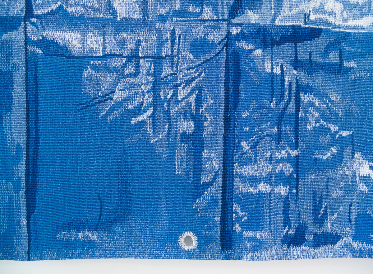 233397-sirgue_bleue_dscf8934.jpg