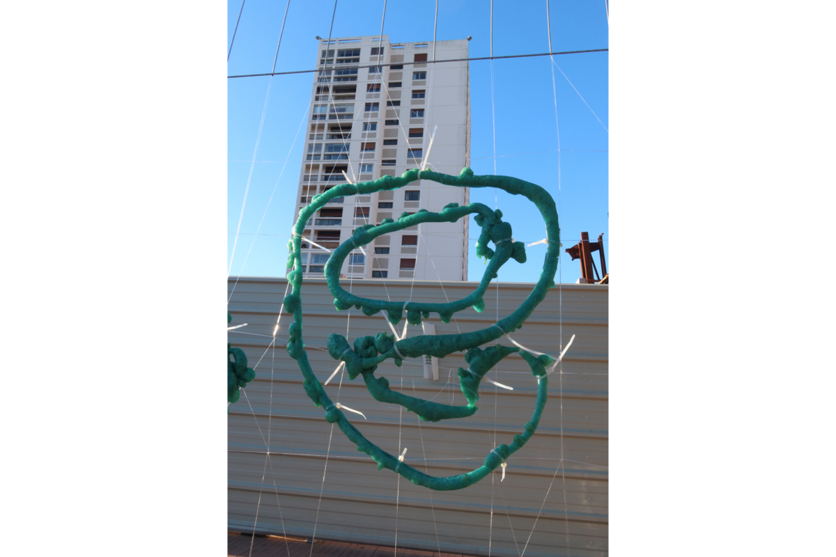 255330-sirgue-enseigne-img_3465.png