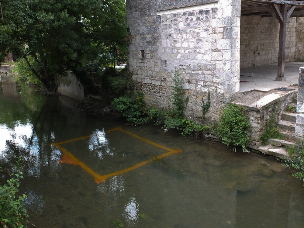 233614-sirgue_ligne19_dscf8170.jpg