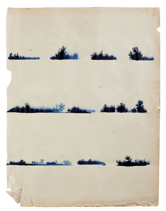 243534-mareschal_figuresabsentes_mathias_mareschal_033.png
