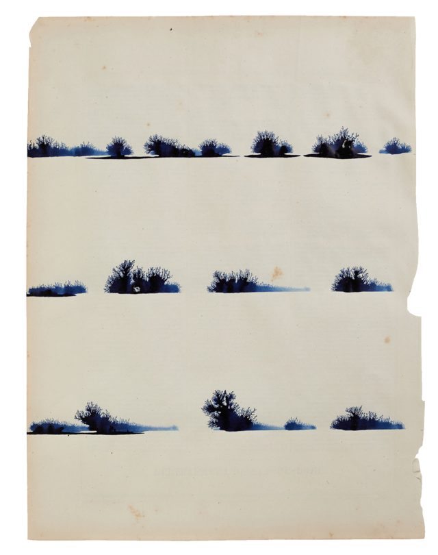 243536-mareschal_figuresabsentes_mathias_mareschal_034.png