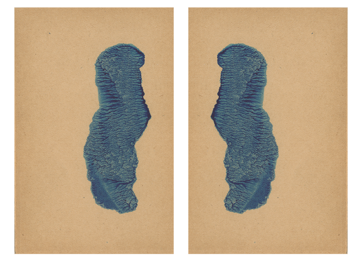 243588-mareschal_dendrites_33.png