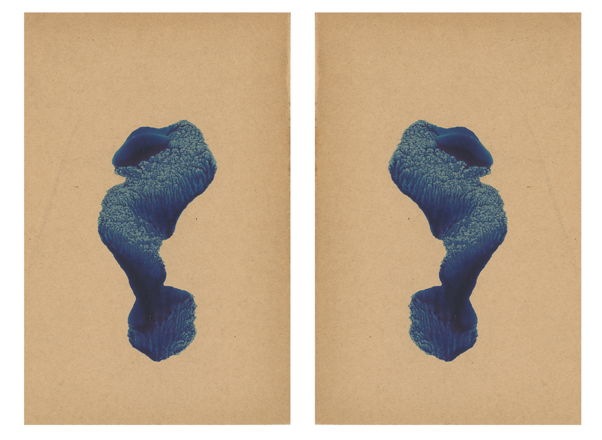 243563-mareschal_dendrites_08.png