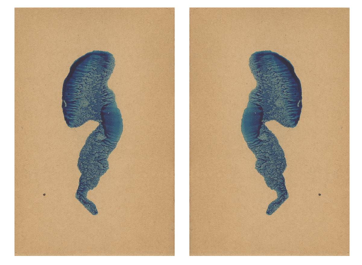 243569-mareschal_dendrites_14.png