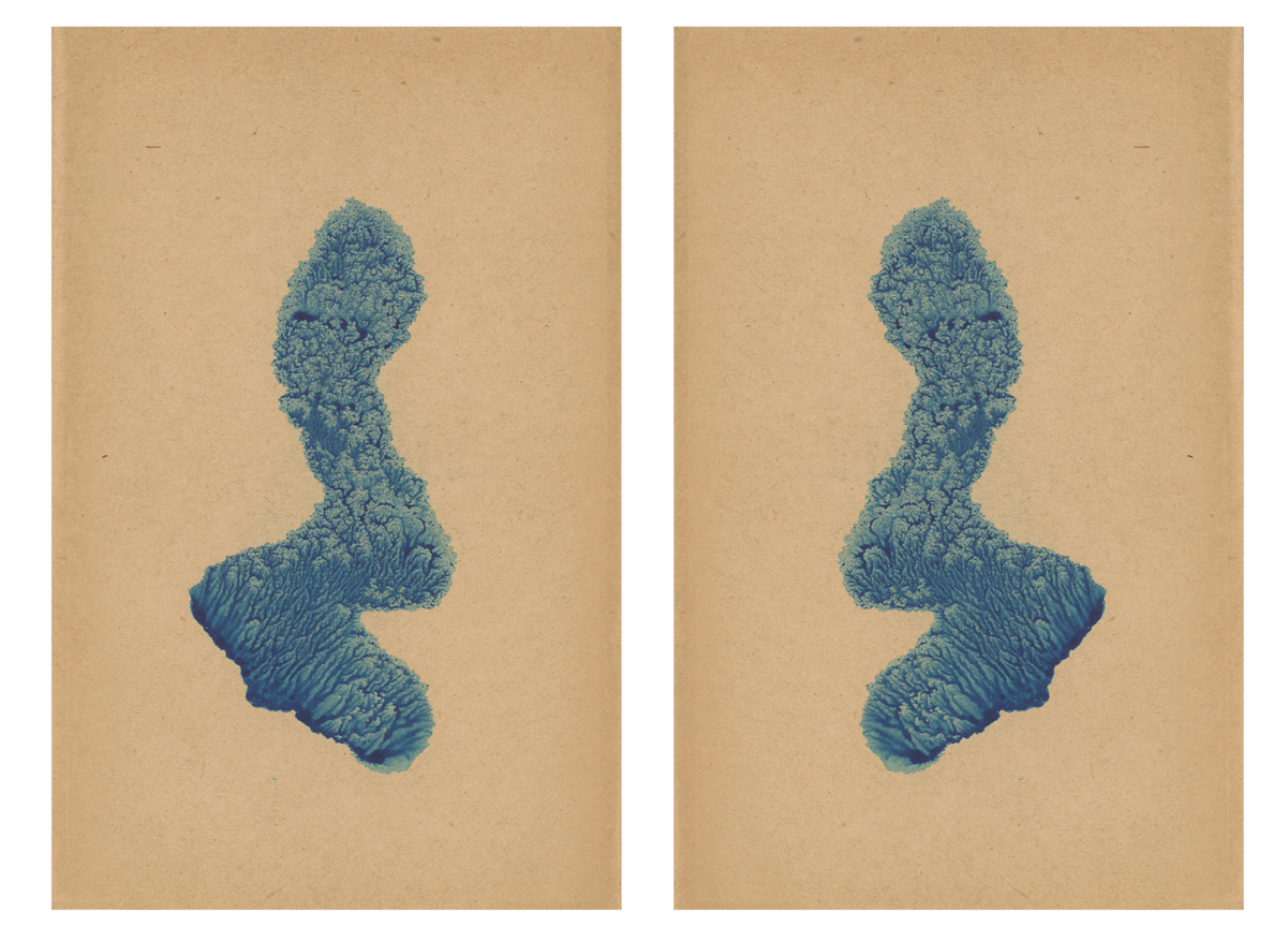 243581-mareschal_dendrites_26.png