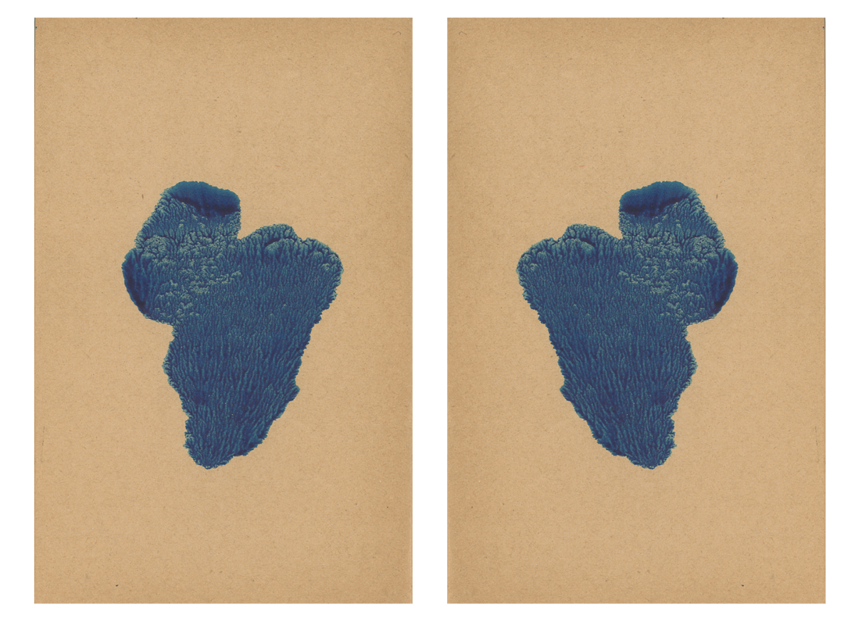 243578-mareschal_dendrites_24.png