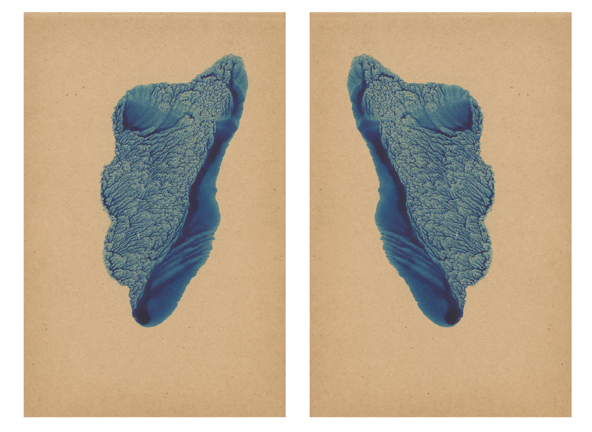243571-mareschal_dendrites_16.png