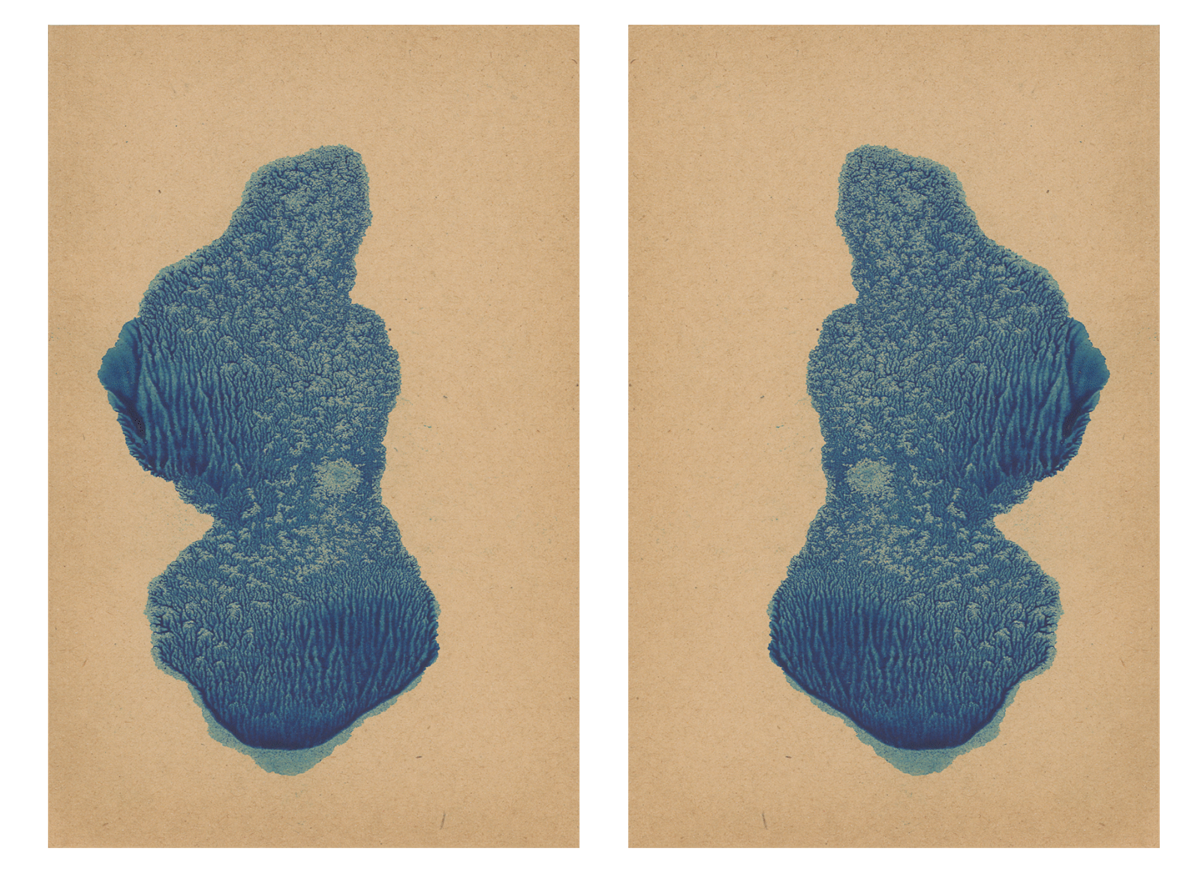 243590-mareschal_dendrites_35.png