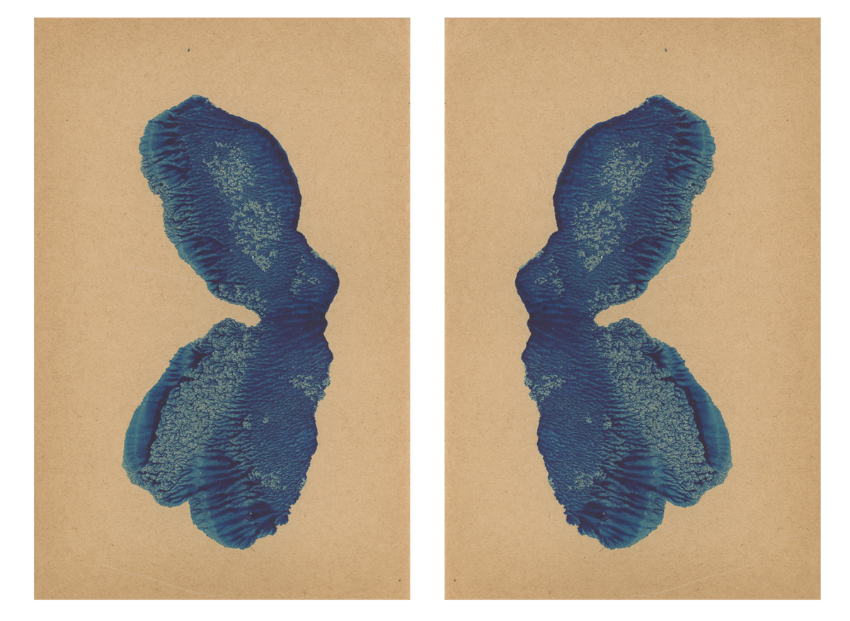 243592-mareschal_dendrites_37.png