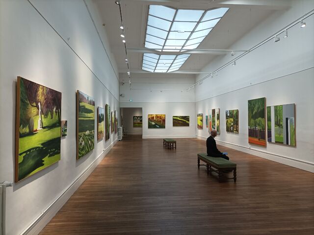Musée des Beaux-arts de Pau, exposition personnelle
