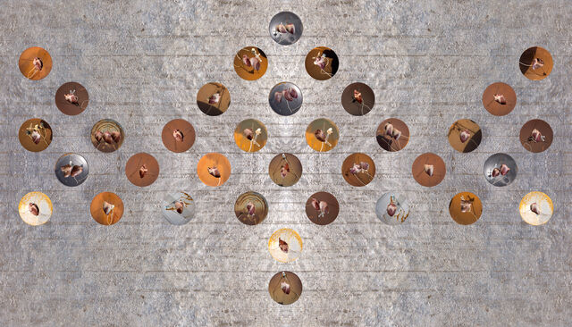 _Heart Dish_