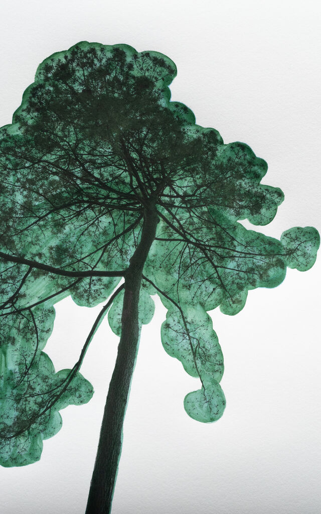 254534-morvarid-k-sablier-morvaridk_sablier_4_21x40cm.jpg