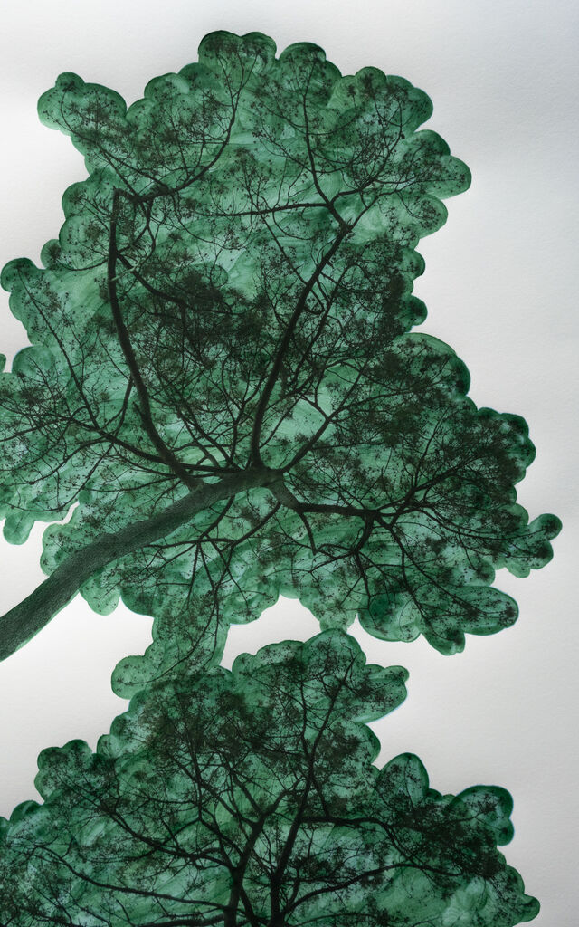254532-morvarid-k-sablier-morvaridk_sablier_2_31x56cm.jpg