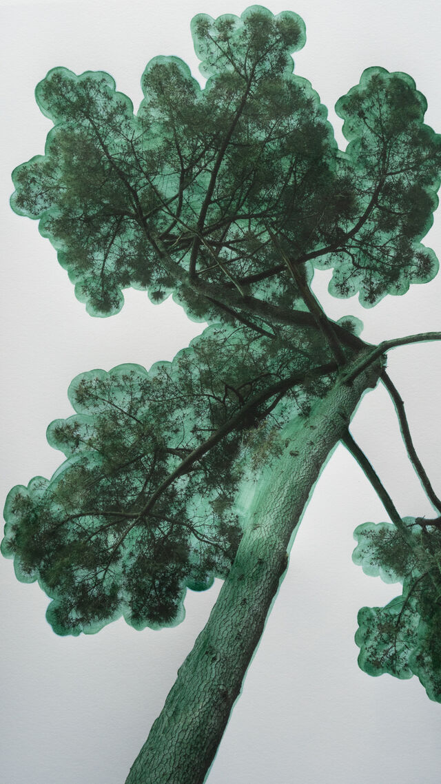 254535-morvarid-k-sablier-morvaridk_sablier_5_31x56cm.jpg