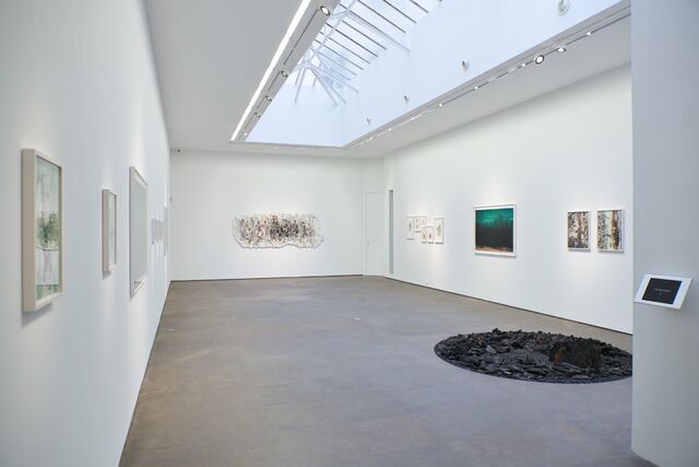 Présentation du projet, exposition et édition