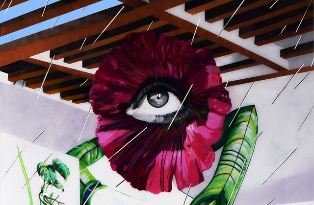 _Mirabilia_ (détail des tableaux)