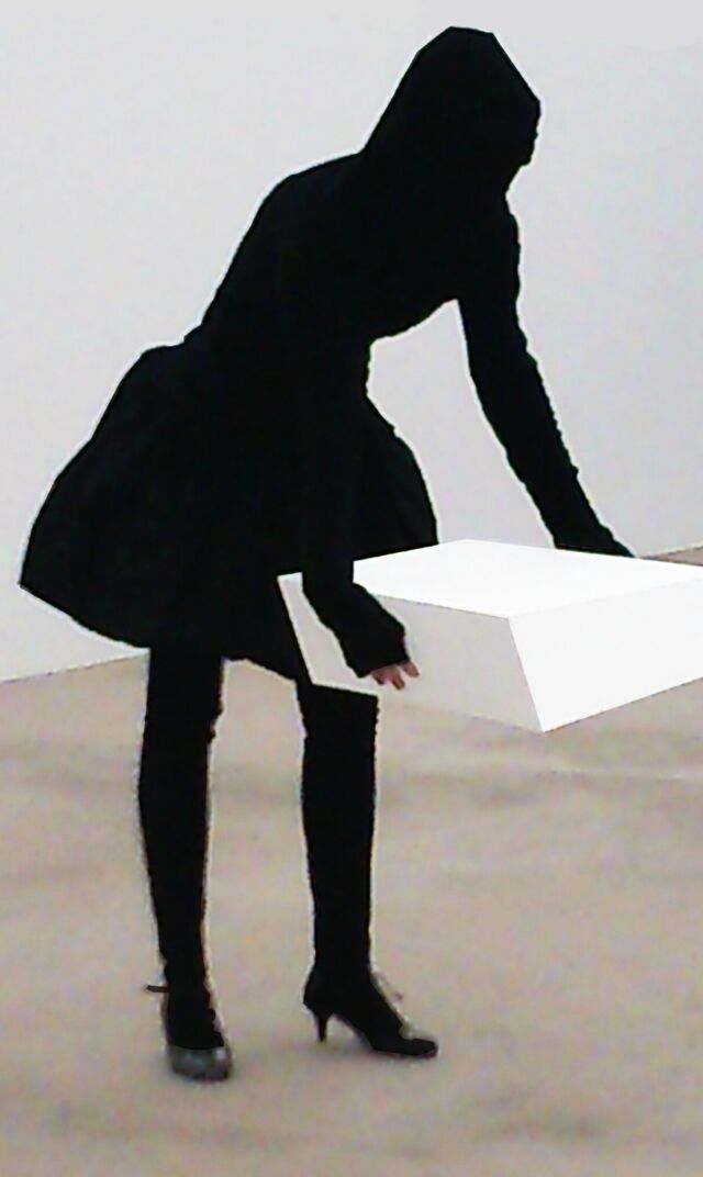 _Sans socle ni double-fond_