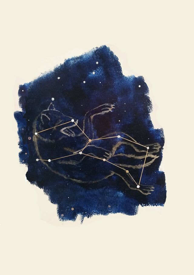 Lupus